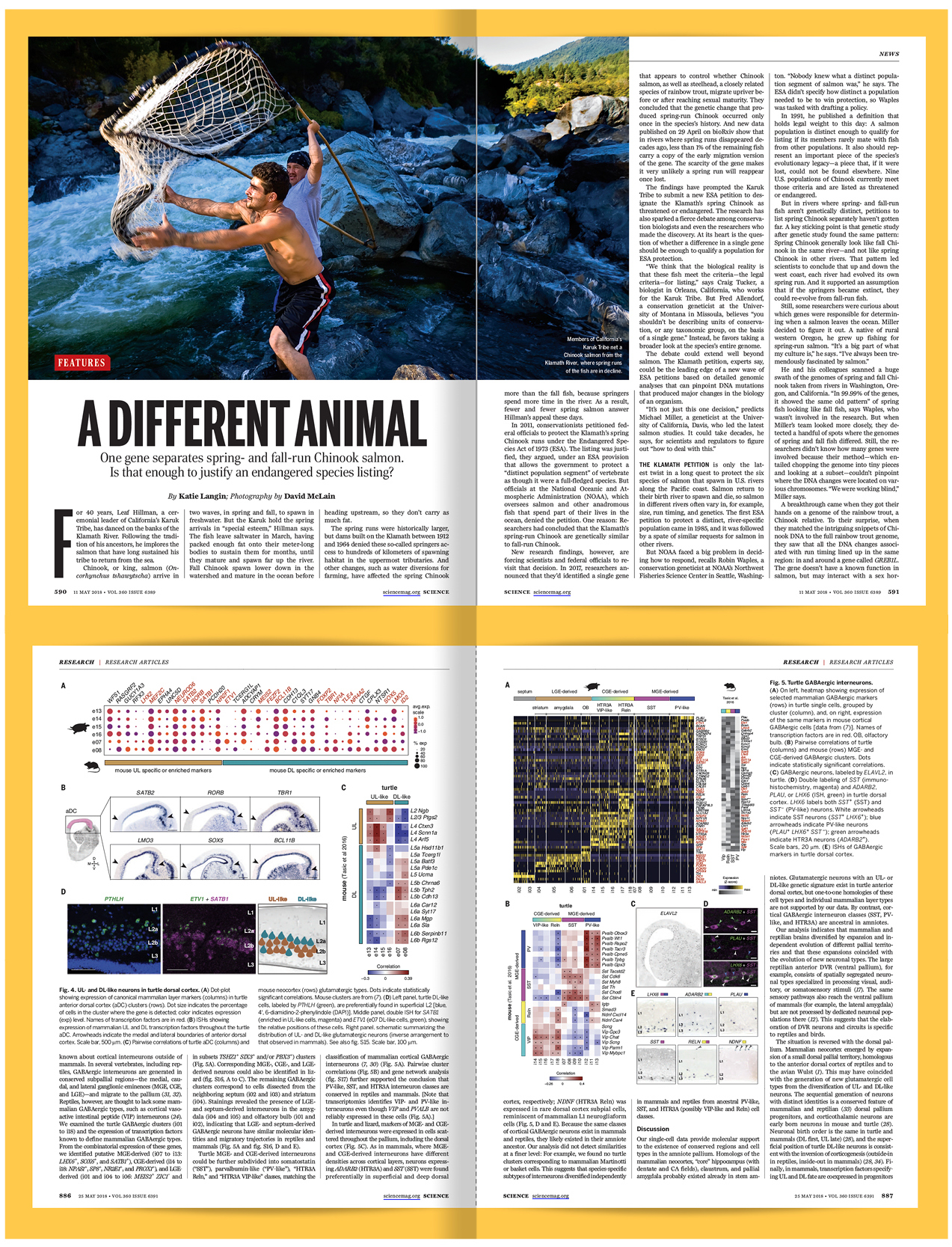 Science Magazine editorial spread